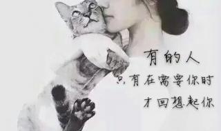 非主流手机墙纸图片