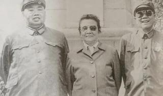 完美世界第79集 完美世界第79集