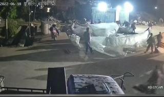 新搬来邻居家的麦子 新搬来邻居家的麦子