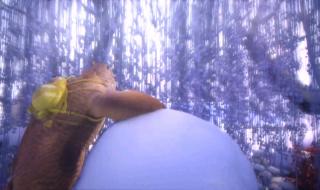 穿越时空的思念歌词