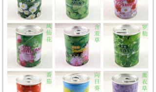 易拉罐花卉 易拉罐花卉