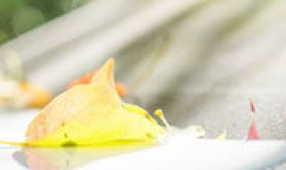 qq头像灰太狼 qq头像灰太狼