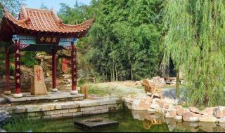 沂南竹泉村 沂南竹泉村