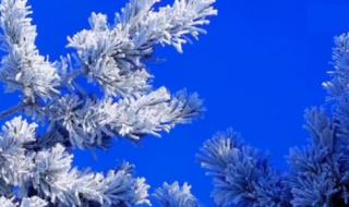 吉林大范围雾凇景观 吉林大范围雾凇景观