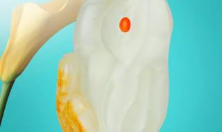 兔字谐音的吉祥成语 兔字谐音的吉祥成语