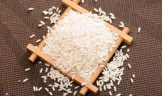 粽子的热量 粽子的热量