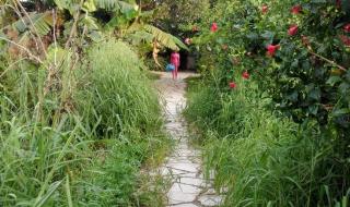 乡间小路伴奏 乡间小路伴奏