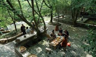 我家门前有两棵树