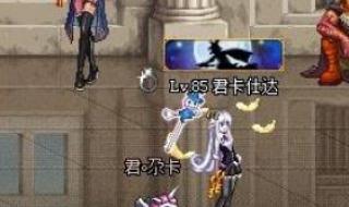 dnf最新宠物 dnf最新宠物