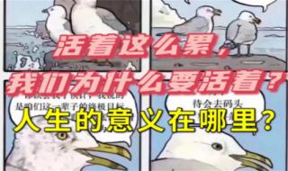 人为什么活着这么累 人为什么活着这么累