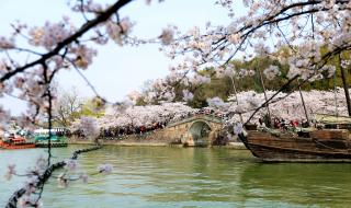 无锡鼋头渚门票团购