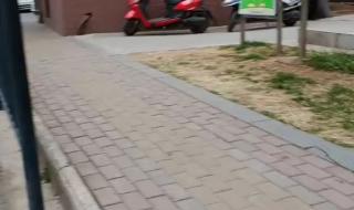 小年下雪有什么预兆 小年下雪有什么预兆