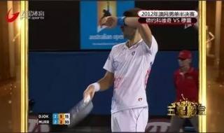 2012年澳网男单决赛