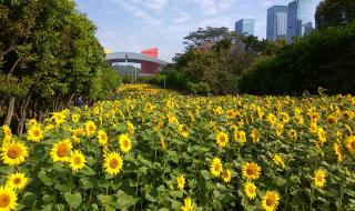 怎么删除空间好友 怎么删除空间好友