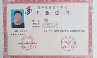 专升本网教报名