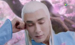 爱像镜子里自己的脸 爱像镜子里自己的脸