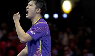 樊振东赢过马龙几次